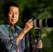 人妻系列小说-探寻情感深处的温柔——人妻系列小说浅析